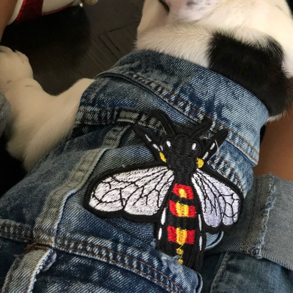 Puppy denim vest
